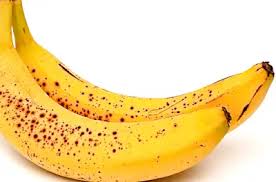 7 WILDCATS LOOK PERFECT IN WRESTLING OPENER