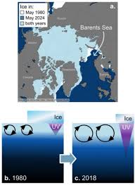 Image result for Dark Blue 1980 Queensland Independent Concrete