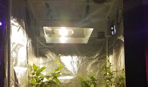 Reasons to get cmh : Indoor Grow Lights Hps Vs Cfl Vs Led Vanq Led