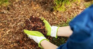 Tips and answers to critical questions. The Best Time To Buy Mulch I Omaha Tree Service Mulch Sale