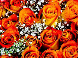 Flowers are one of the most beautiful creations of nature. Roses Orange Bouquet Bunch Of Flowers Nature Wedding Florist Lovely Summer Cluster Pikist