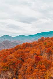 Who almost played jack and rose? 10 Smoky Mountains Attractions You Need To Experience Holly Habeck