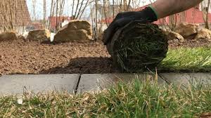 Ebay rollrasen verlegen hecken schneiden gartenarbeit. Fertigen Rollrasen Im Garten Verlegen Mdr De