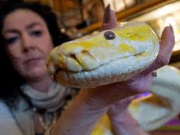 Auffangstationen helfen Tieren in Not