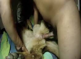 Check spelling or type a new query. German Shepherd Sex Gaybeast Com Beastiality Men Extrem Sex And Taboo Porn