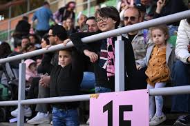 Palermo FC x Bari: Ingressos Grátis e Árbitro Definido para Jogo Decisivo! - Imagen principal del artículo