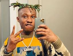 Omoniyi temidayo raphael professionally as zlatan ibile, is a fast rising nigerian singer, songwriter, dancer, entertainer, stage performer, recording artists and the ceo zanku music record.on 3 november 2019, he released his debut studio album. Zlatan And Naira Marley Net Worth 2021 Who Is The Richest Between Zlatan Ibele And Naira Marley The360report