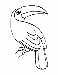 Color toucan bird by numbers. Toucan Coloring Pages Best Coloring Pages For Kids