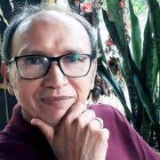 Derrubada de 30 campos de futebol de mata deu origem ao “Ecoparque” de  Barcarena