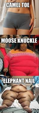 Much like a camel toe only much larger. Camel Toe Moose Knuckle Elephant Nail Promotion Elephant Meme On Me Me