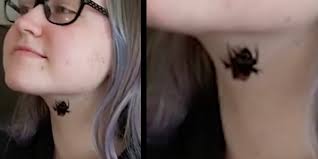 Tierrettung: Mädchen hält Hummel als Haustier