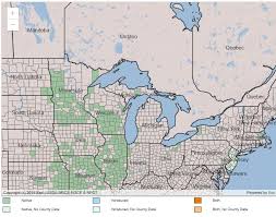 Image result for Pycnostachys kassneri