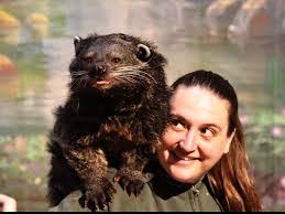 Carrie Mchenry's Instagram, Twitter & Facebook