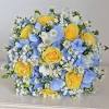 Affordable and search from millions of royalty free images, photos and vectors. 1