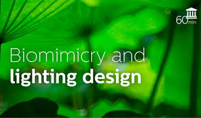 Blog Signify Nature Inspiration Design Design Challenges