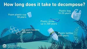 Plastics never actually 'decompose', they merely break down into smaller and smaller pieces. The Many Lifetimes Of Plastics Laboratory News