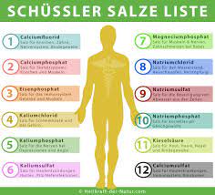 Sie werden bei den unterschiedlichsten beschwerden eingesetzt und können, da sie keine nebenwirkungen aufweisen, auch als ergänzung zur schulmedizinischen behandlung angewendet werden. Schussler Salze Liste Die 12 Wichtigsten Schussler Salze Erklart Heilkraft Der Natur