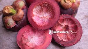 App manfaat kulit manggis bagi kesehatan tubuh yang luar biasa.manfaat kulit manggis bagi home » apps » books & reference » khasiat kulit manggis untuk kulit 1.1 apk. Manfaat Kulit Manggis Bagi Kesehatan Halaman All Tribunpekanbaru Wiki