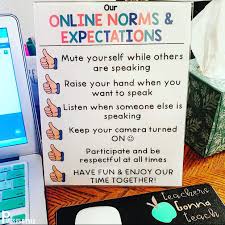 Online Norms Expectations Anchor Chart Distance Learning In 2020 Digital Learning Classroom Online Learning Classroom Expectations