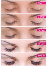 Eyelash Growth How To Grow Eyelashes Grow Eyelashes Longer Long Thick Lashes
