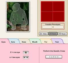 Deletion (a base is lost) insertion (an extra base is inserted) deletion and insertion may 22 awesome virtual lab dna and genes worksheet answers documents from dna mutations practice worksheet answer key , source:bradleymobilemedia.com you need to. Punnett Square Virtual Lab Biology Lessons Teaching Biology Biology Classroom