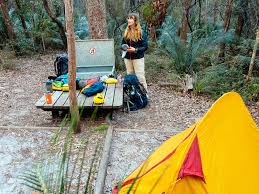 · lake boomanjin camping area number of sites: Lake Wabby Great Walk Camp Sites K Gari Fraser Island Great Walk Parks And Forests Department Of Environment And Science Queensland
