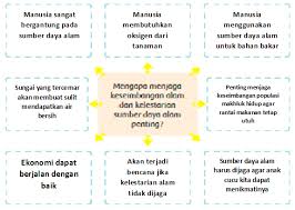 Kolom 4diisi sesuai dengan satuan ukuran volume atau berat yang digunakan meter kubik atau kg kolom 5 dalam hal nota angkutan pengangkutan lanjutan diisi asal usul nota angkutan atau skau. Jawaban Dari Bacaan Tempat Hidup Tanaman Teh Gurune Net