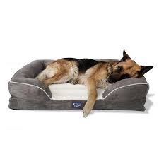 New waterproof dog bed heavy duty cover soft washable puppy pet cushion mattress. Laifug Large Dog Bed Orthopedic Memory Foam Dog Couch With Free Waterp Laifug