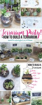 How to make a terrarium. Terrarium Party Plus How To Make A Terrarium