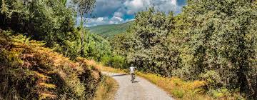 Jakobsweg Mit Dem Fahrrad Grandiose E Velo Reise Online Buchen