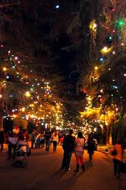 Running for about a mile along santa rosa street, the trees have been lit almost continuously for over 95 years. Christmas Tree Lane In Altadena Pasadena Christmas Display Pasadena California