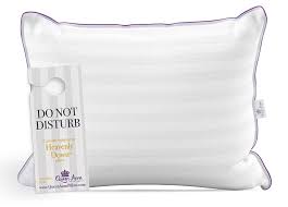 Check spelling or type a new query. Best Hotel Pillow Reviews 2021 Marriott Hilton Ritz Carlton More