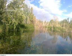 Image result for ‫احمداسماعیلی کریزی/تصاویر‬‎