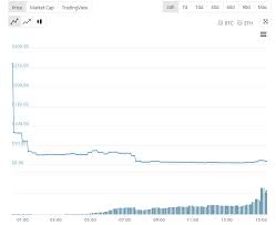 Grin Grin Value Drops 98 In His First Day Of Trading