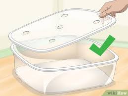 This week we breakdown the easy and safe way. How To Get Rid Of Mites On Snakes 15 Steps With Pictures