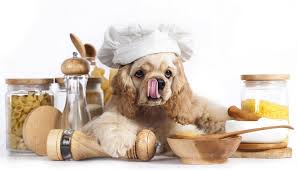 Tim's metabolite weight management dry dog food formula. Low Fat Homemade Dog Food Recipe For Different Health Conditions