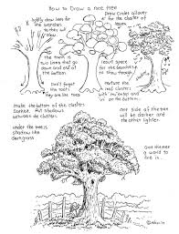 How To Draw A Nice Tree Goodness Addy Will Be Impressed By How Much My Trees Have Improved When We Are Drawing Later Realistic Drawings Tree Drawing Drawings