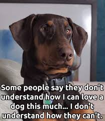 Dogs Don T Hurt You Like Humans Do Dogs Dog Quotes Dog Love