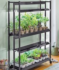 Kamu ingin membuat link zoom meeting agar peserta lain dapat bergabung? Inspirasi Kebun Sayur Ini Bisa Bikin Ibu Rumah Tangga Bahagia Coba Yu Semua Halaman Nakita