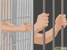 View inmate results, sometimes including mugshots 3 Ways To Find Out If Someone Is In Jail Wikihow