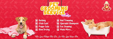 Check spelling or type a new query. Jasa Grooming Anjing Kucing Caesar Jac O Grooming And Salon