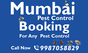 Pep stop pest control services is a member of indian pest control. Pest Control Pest Control Mumbai Best Pest Control Mumbai Navi Mumbai Thane