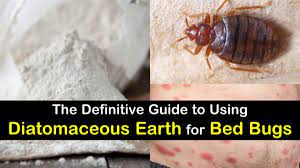 10 Questions Answered About Using Diatomaceous Earth For Bed Bugs