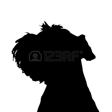 Black And White Mini Schnauzer Clipart Schnauzer Face Silhouette Google Search Hunde Silhouette Riesenschnauzer Mini Schnauzer