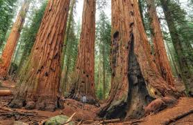 Best buy ge gns22egebb 22.1 cu. Cronsearch Www Iotworldtoday Com Top 10 Iiot Platforms In This Report We Dig Into The Crowded Industrial Iot Platform Market To Identify The Top 10 Products For You To Consider Www Iotworldtoday Com The Story Behind Schneider Electrica S U S