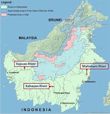 This deep web search engine—which, like many other deep web search engines on this list, also lets you search the regular web—has a clean and easy to use interface and doesn't track your discoveries. Peatland In Kalimantan Springerlink