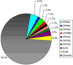 Molecular Vision Devi Mol Vis 2008 14 1157 1170 Figure 6