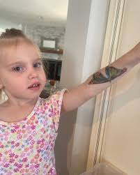 Mallory Duffy (@yesnanny) • Instagram photos and videos