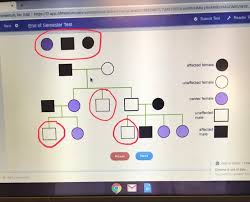 Identify The Genotype For This Pedigree Chart Brainly Com