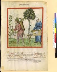 Fol 50 Tacuinum Sanitatis Bnf Latin 9333 15th Century Art Medieval Artisanats Medievaux Illustration Ancienne